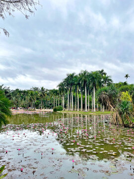 中科院植物园