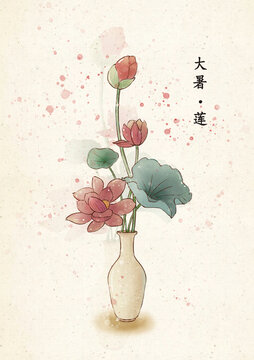 二十四節(jié)氣大暑荷花
