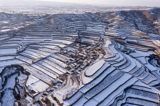 雪后运城稷王山黄土坡上梯田风光