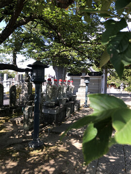 日本龙峰山大统寺里的献灯