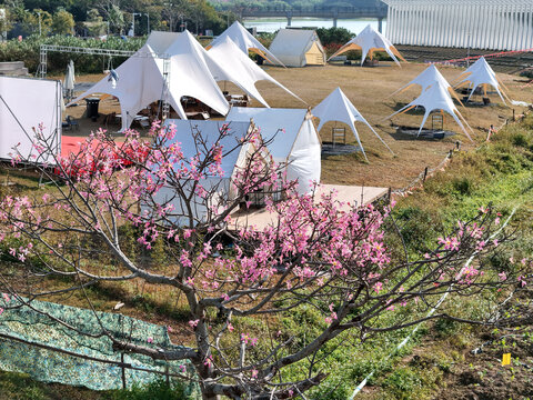 露营基地