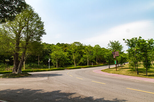 青秀山公园分岔路