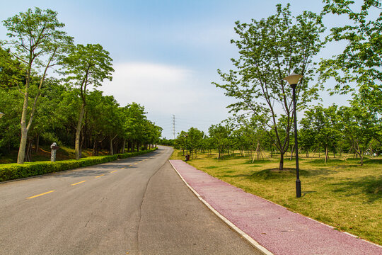 青秀山公园道路