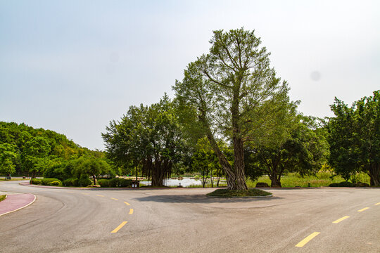 青秀山公园环岛