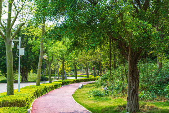 青秀山公园游览步道