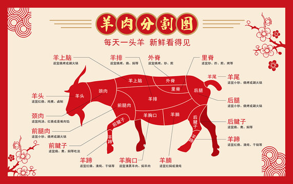 羊肉分割图