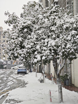 冰雪街景