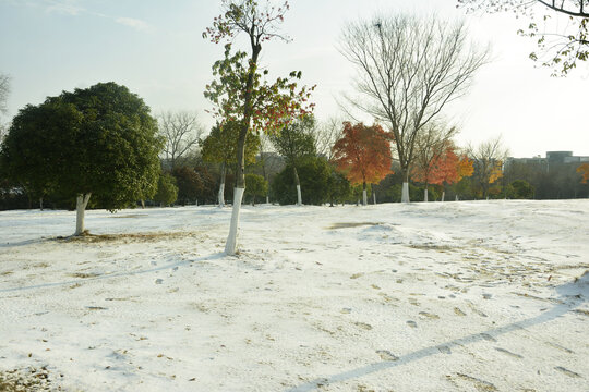 雪景