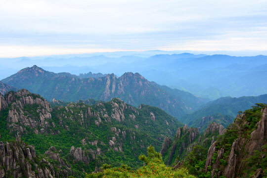 青山