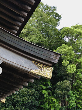 日本曹洞宗瑞龙山来见寺木建筑