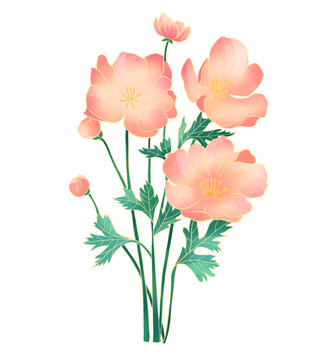 中式国潮花卉插画