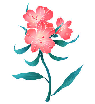 中式國潮花卉插畫