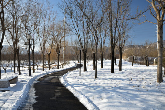 河北省石家庄市龙泉湖公园雪景