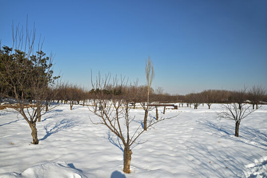 河北省石家庄市龙泉湖公园雪景