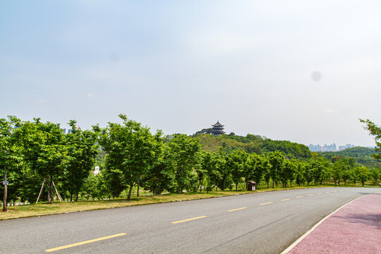 青秀山景区行车道