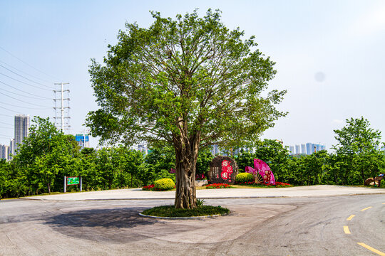 青秀山公园环岛