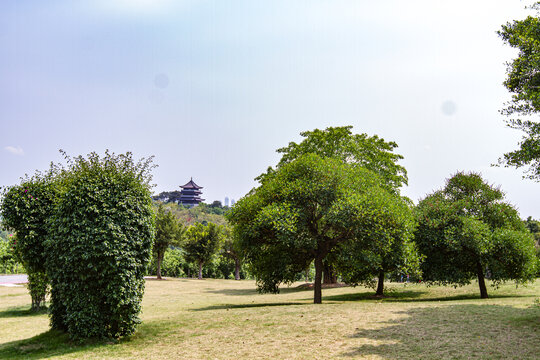 青秀山景区风光