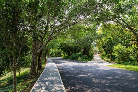 青秀山景区林荫路