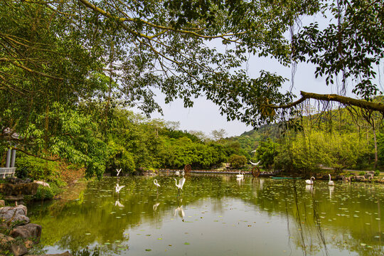 青秀山公园状元泉文化园