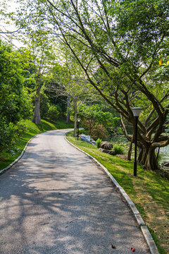 青秀山公园林荫道