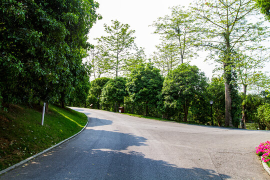 青秀山景区分岔路口