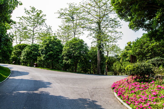 青秀山景区分岔路口