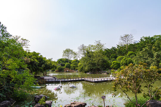 青秀山公园状元泉栈道