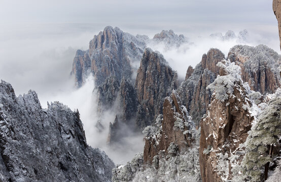 黄山冬韵之雪松墨韵