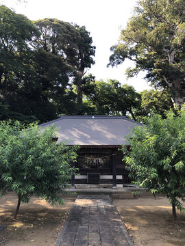 日本茨城县龙崎市村社八坂神社