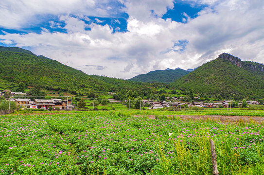 拉纳帕海依拉草原