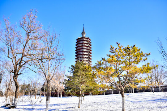 雪中通州塔