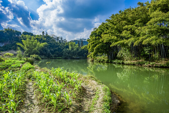 生态乡村