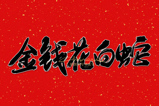 金錢花白蛇