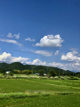 日本福岛乡村田园风光