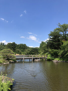 日本福岛绿水苑日式园林景观