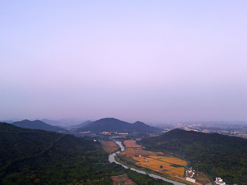 山区稻田