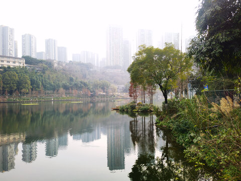 城市生态湖泊美景