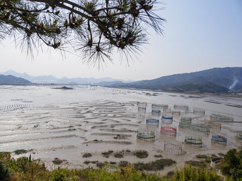 霞浦南湾甲骨文摄影