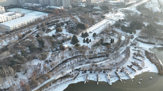 城阳世纪公园冬季雪景