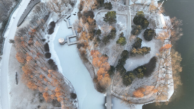 城阳世纪公园冬季雪景