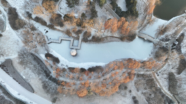 城阳世纪公园冬季雪景