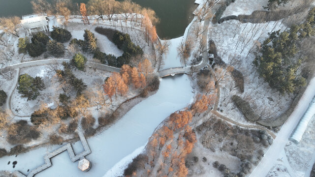 城阳世纪公园冬季雪景