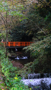 山间红桥