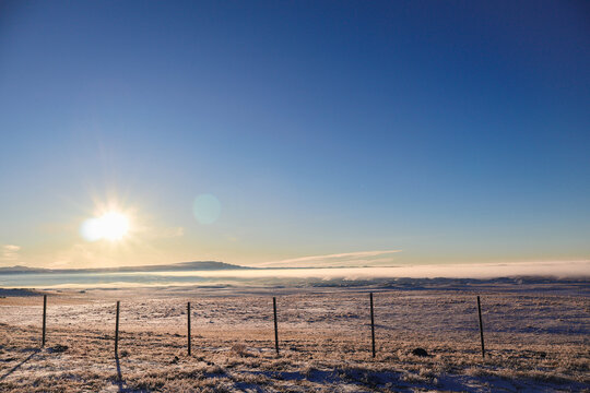 新疆冬季牧场清晨日出蓝天云雾