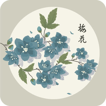 藍(lán)色梅花