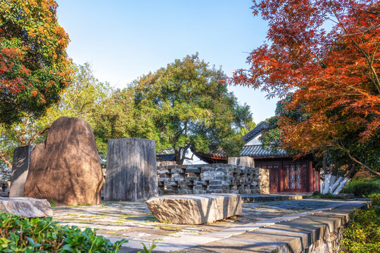 园林秋景特写