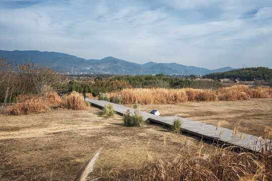 莫角山良渚古城遗址风光