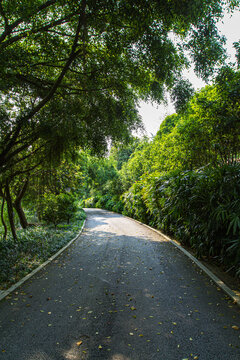 青秀山公园步道