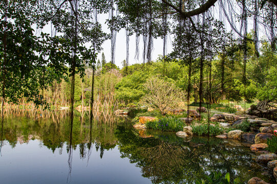 青秀山公园湖泊风光