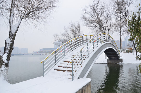 黄河公园小桥雪景